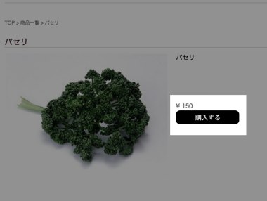 STEP2:購入へ!