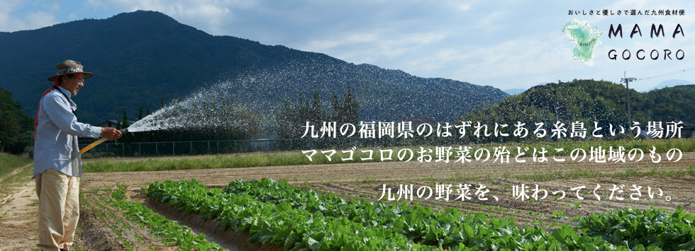 九州の福岡県のはずれにある糸島という場所ママゴコロのお野菜の殆どはこの地域のもの九州の野菜を、味わってください。