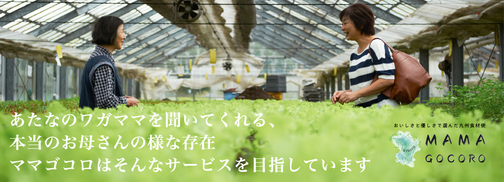 あたなのワガママを聞いてくれる、本当のお母さんの様な存在ママゴコロはそんなサービスを目指しています
